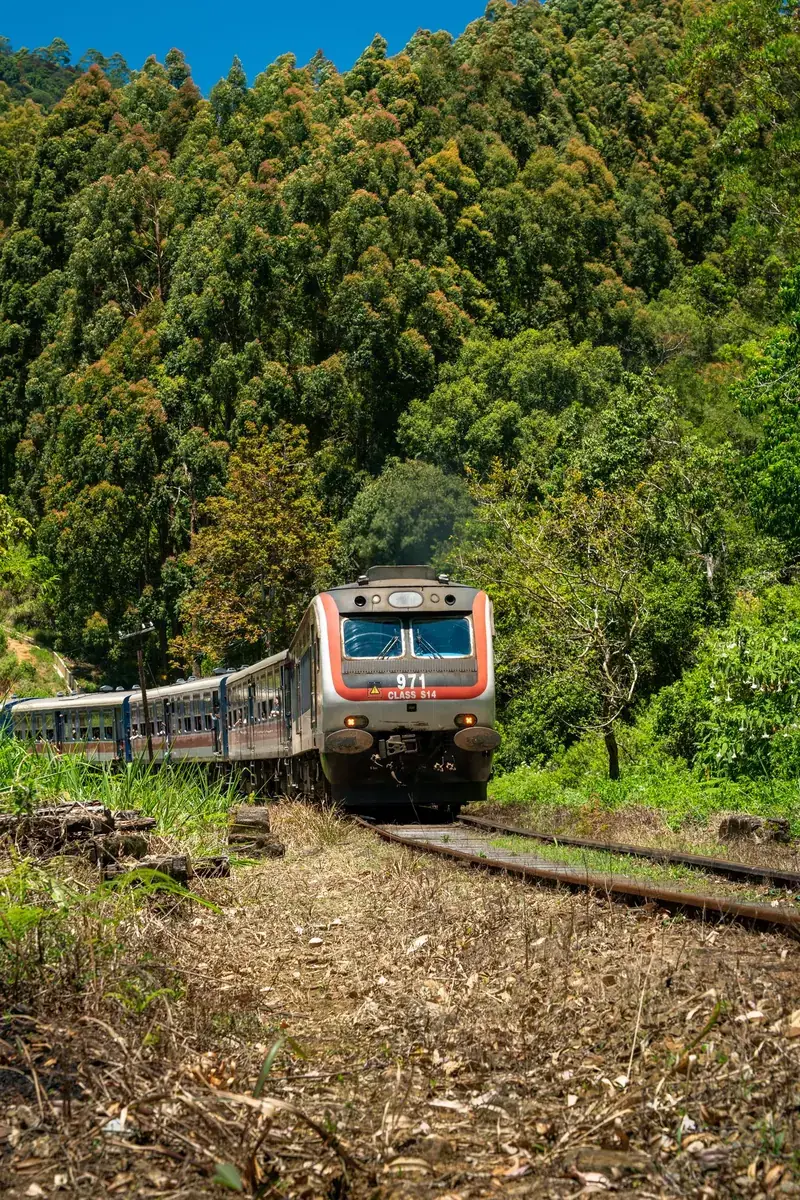 Scenic train journey through green mountains
