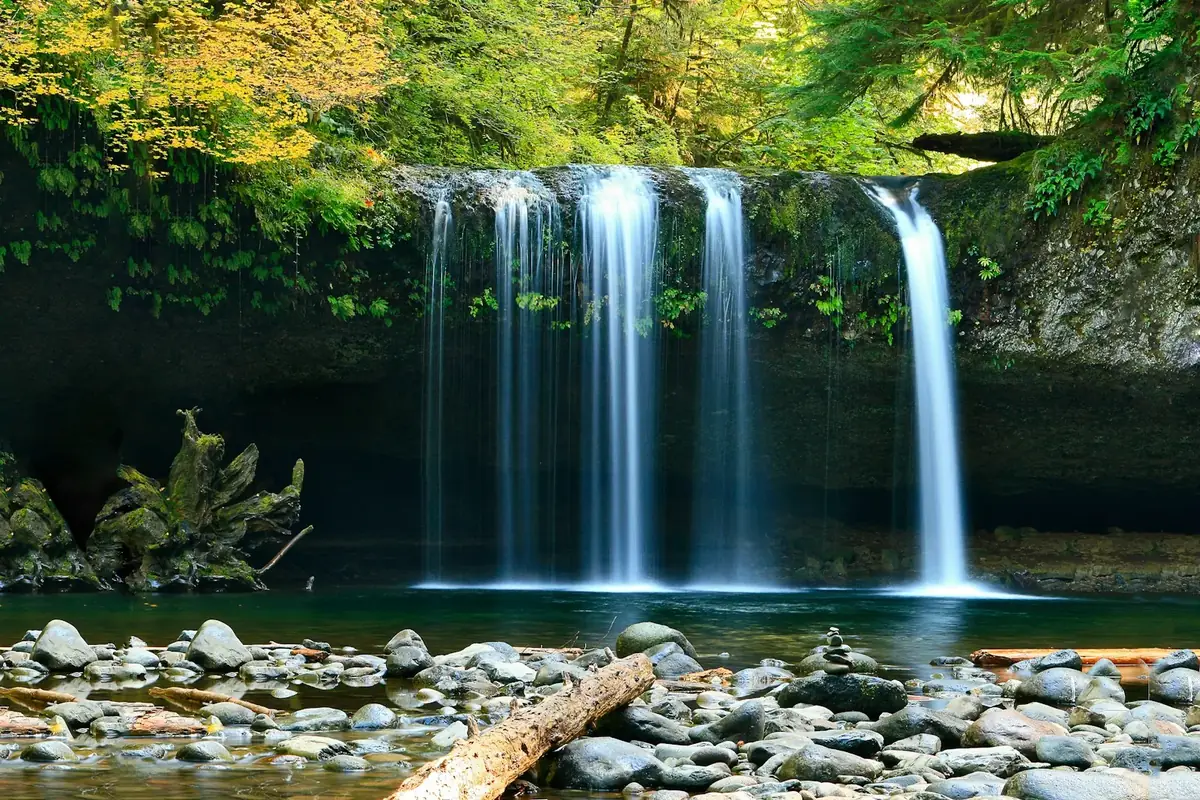 Powerful waterfall in a lush forest